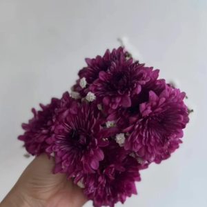 Purple daisy flower kanghan