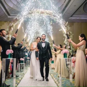 Electric Anaar | Safe & Dazzling Fireworks Effect