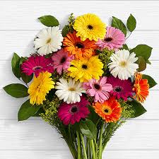 15 Multi Color Daisy Flowers Bouquet