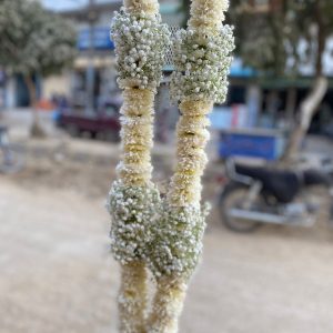 Snowy Pearl – All-White Floral Garland